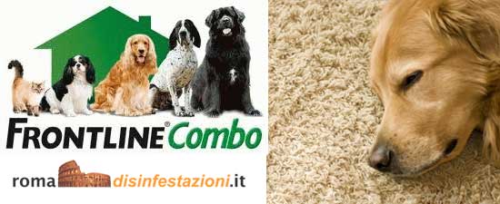 frontline combo pulci roma