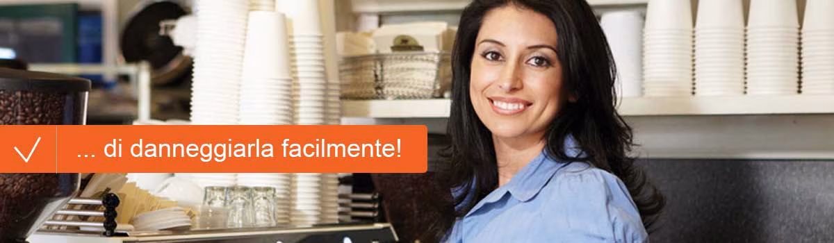 Disinfestazione bar blatte roma